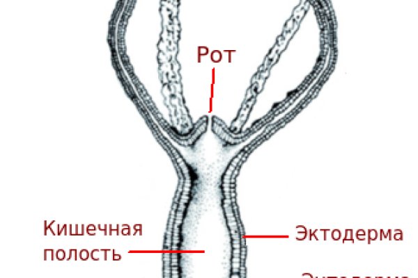 Зеркало вход кракен