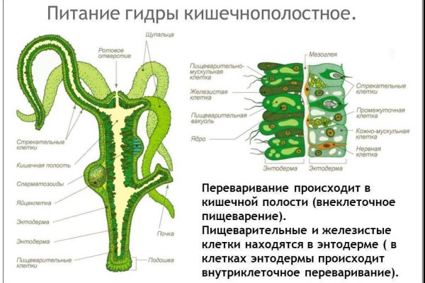 Кракен krakken15at com